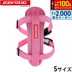 y12/5II100|CgobNő2000~OFFN[|zC[W[hbO EZYDOG n[lX S sN `FXgv[g  