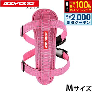 y12/5II100|CgobNő2000~OFFN[|zC[W[hbO EZYDOG n[lX M sN `FXgv[g  