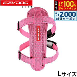 y12/10II100|CgobNő2000~OFFN[|zC[W[hbO EZYDOG n[lX L sN `FXgv[g  