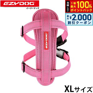 y12/5II100|CgobNő2000~OFFN[|zC[W[hbO EZYDOG n[lX XL sN `FXgv[g  