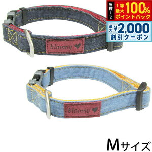 y12/5II100|CgobNő2000~OFFN[|zu[~[ fjJ[