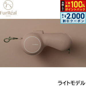 y12/5II100|CgobNő2000~OFFN[|zt@[A RRA[h Cgf x[WyzLk[h