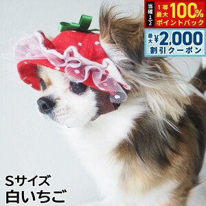 y12/5II100|CgobNő2000~OFFN[|z̖Xq K[fIuGf tnbg STCY 