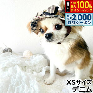 y12/10II100|CgobNő2000~OFFN[|z̖Xq K[fIuGf oPbgnbg XS fjyz