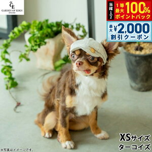 y12/5II100|CgobNő2000~OFFN[|z̖Xq K[fIuGf I[KjbNRbgLXPbg XS ^[RCYyz  t@bV o