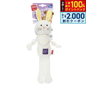 y12/5II100|CgobNő2000~OFFN[|zGiGwi Xbpvbp mr[ rbg   ʂ   Rbg _炩 ₷ ps[ VjA 