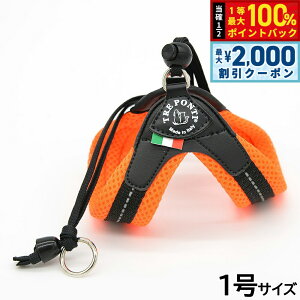 y12/5II100|CgobNő2000~OFFN[|zg|eB TREPONTI x^ \tgbV ^pn[lX 1 IW