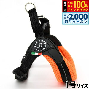 y12/5II100|CgobNő2000~OFFN[|zg|eB TREPONTI tBbrA AWX^u^Cv \tgbV n[lX 1 IW