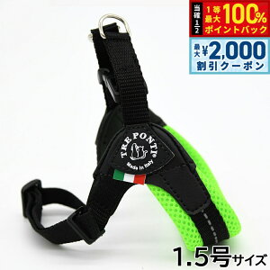 y12/5II100|CgobNő2000~OFFN[|zg|eB TREPONTI tBbrA AWX^u^Cv \tgbV n[lX 1.5 O[