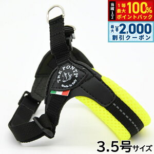 y12/5II100|CgobNő2000~OFFN[|zg|eB TREPONTI tBbrA AWX^u^Cv \tgbV n[lX 3.5 CG[