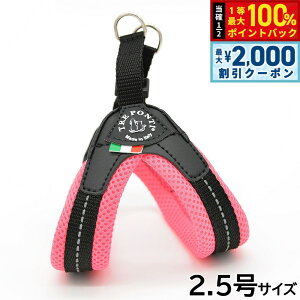 y12/5II100|CgobNő2000~OFFN[|zg|eB TREPONTI tBbrA \tgbV ^pn[lX 2.5 sN