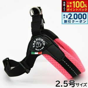 y12/5II100|CgobNő2000~OFFN[|zg|eB TREPONTI tBbrA AWX^u^Cv \tgbV n[lX 2.5 sN