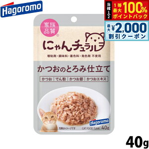 y12/10II100|CgobNő2000~OFFN[|z͂t[Y ɂ` Lbgt[h pE` ̂Ƃݎd 40g Y Y