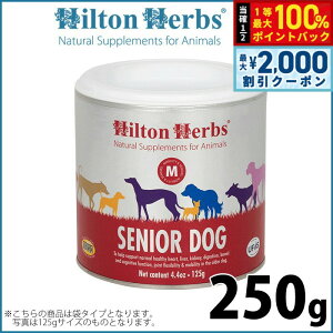 y12/5II100|CgobNő2000~OFFN[|zqgn[u VjAhbOixej 250g Tvg n[u p 