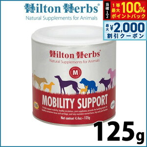 y12/10II100|CgobNő2000~OFFN[|zqgn[u reB T|[g 125g Tvg n[u ֐߂̃T|[g 