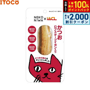 y12/10II100|CgobNő2000~OFFN[|zNEKONIWA { uX^[uC Lp 1{