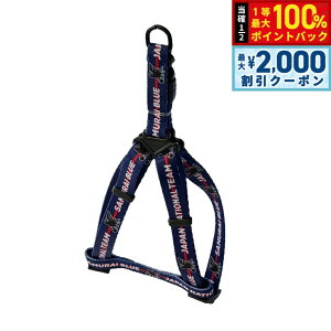 y12/5II100|CgobNő2000~OFFN[|zt@^W[[h TbJ[{\ TCu[ n[lX TbJ[{\ItBVCZXObY