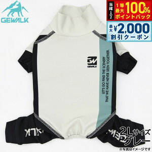 y12/10II100|CgobNő2000~OFFN[|zWEH[N GEWALK gR[ J[ vg veNg Xgb` p[X 2L O[  hbOEFA ybgEF