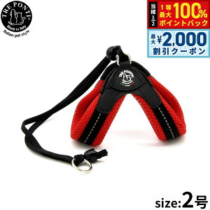 y12/5II100|CgobNő2000~OFFN[|zg|eB TRE PONTI x^\tgbV n[lX 2 bh