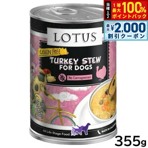 y12/5II100|CgobNő2000~OFFN[|z[^X hbOt[h OCt[ EFbgt[h ^[L[ V`[ 355g Y ʋl