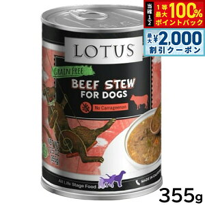 y12/5II100|CgobNő2000~OFFN[|z[^X hbOt[h OCt[ EFbgt[h r[tAXpKX V`[ 355g Y ʋl