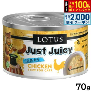 y12/5II100|CgobNő2000~OFFN[|z[^X Lbgt[h OCt[ EFbgt[h `L V`[ 70g Y ʋl