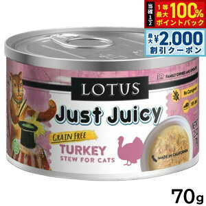 y12/10II100|CgobNő2000~OFFN[|z[^X Lbgt[h OCt[ EFbgt[h ^[L[ V`[ 70g Y ʋl