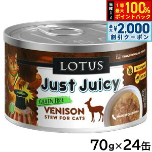 y12/10II100|CgobNő2000~OFFN[|z[^X Lbgt[h OCt[ EFbgt[h xj\ V`[ 70g×24ʃZbgyz Y 