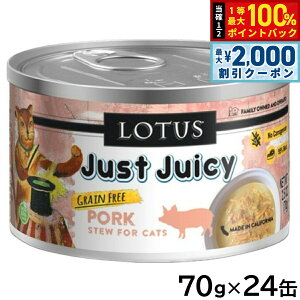 y12/10II100|CgobNő2000~OFFN[|z[^X Lbgt[h OCt[ EFbgt[h |[N V`[ 70g×24ʃZbgyz Y ʋl