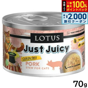 y12/10II100|CgobNő2000~OFFN[|z[^X Lbgt[h OCt[ EFbgt[h |[N V`[ 70g Y ʋl