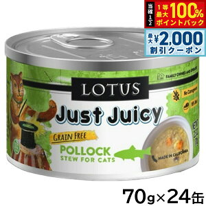 y12/5II100|CgobNő2000~OFFN[|z[^X Lbgt[h OCt[ EFbgt[h |bN V`[ 70g×24ʃZbgyz Y 