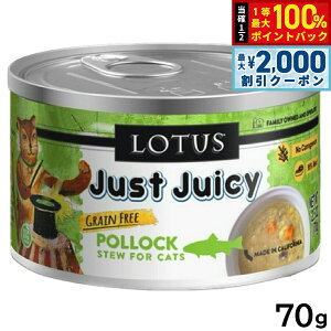 y12/5II100|CgobNő2000~OFFN[|z[^X Lbgt[h OCt[ EFbgt[h |bN V`[ 70g Y ʋl