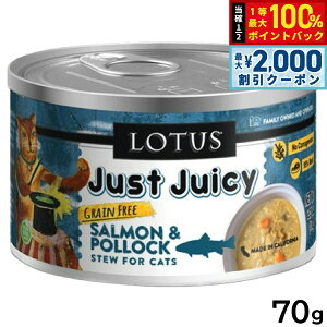 y12/10II100|CgobNő2000~OFFN[|z[^X Lbgt[h OCt[ EFbgt[h T[|bN V`[ 70g Y ʋl