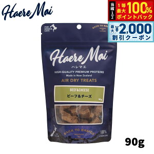 y12/10II100|CgobNő2000~OFFN[|zn}G r[t`[Y 90g p Lp Y