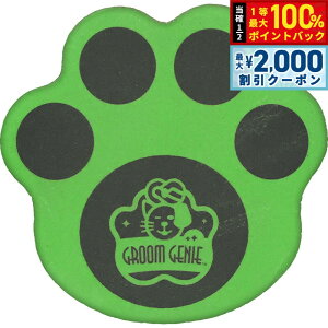 y12/5II100|CgobNő2000~OFFN[|zlCO[~Opbh 2P O[    ₷