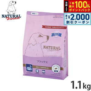 y12/10II100|CgobNő2000~OFFN[|zi`n[xXg hbOt[h tbNX ΃PApHÖ@H 1.1kg Y p {p