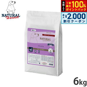 y12/10II100|CgobNő2000~OFFN[|zi`n[xXg hbOt[h tbNX ΃PApHÖ@H 6kgyz Y p {p