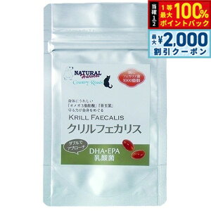 y12/10II100|CgobNő2000~OFFN[|zi`n[xXg Tvg NtFJX 35 Y Y K{b_ IK3 _