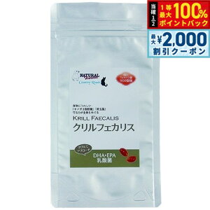 y12/10II100|CgobNő2000~OFFN[|zi`n[xXg Tvg NtFJX 180 Y Y K{b_ IK3