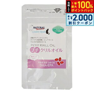 y12/5II100|CgobNő2000~OFFN[|zi`n[xXg Tvg v`NIC 30 Y Y K{b_ IK3