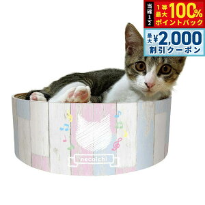 y12/5II100|CgobNő2000~OFFN[|zL oo{E qLp L ܂Ƃ ܂݂ _{[ 蔫