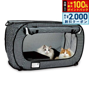 y12/10II100|CgobNő2000~OFFN[|zL |[^uP[WƃgC̃Zbg L ܂肽 RpNg ^ ł