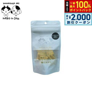 y12/10II100|CgobNő2000~OFFN[|z{V[Yybg ˂Ƃ r[K`bvX ڂ ELp 20g Y Y