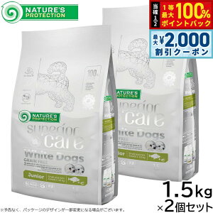 y12/10II100|CgobNő2000~OFFN[|zlC`[YveNV hbOt[h zCghbO WjA 1.5kg×2Zbgyz zCgR[g q Y