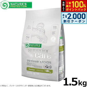 y12/5II100|CgobNő2000~OFFN[|zlC`[YveNV hbOt[h zCghbO WjA 1.5kg ю zCgR[g q Y OCt[