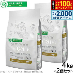 y12/10II100|CgobNő2000~OFFN[|zlC`[YveNV hbOt[h zCghbO 4kg×2Zbgyz zCgR[g  Y [h 