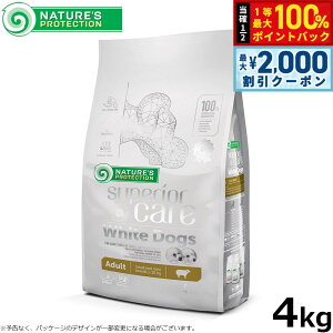 y12/10II100|CgobNő2000~OFFN[|zlC`[YveNV hbOt[h zCghbO 4kgiю zCgR[g  Y Oet[ v[h