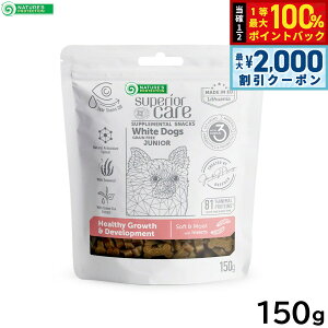 y12/10II100|CgobNő2000~OFFN[|zlC`[YveNV p zCghbO XibN O[X WjA 150g ю zCgR[g OCt