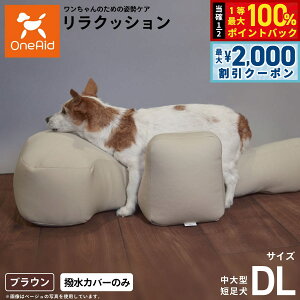 y12/5II100|CgobNő2000~OFFN[|zOneAid NbVpJo[ P DLyz p  pi xbh p ^Zp