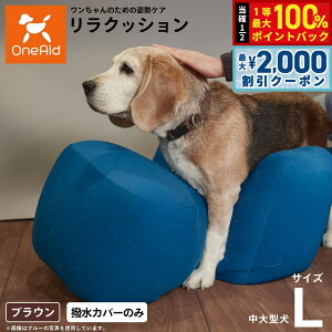 y12/5II100|CgobNő2000~OFFN[|zOneAid NbVpJo[ P L p  pi xbh p ^E^p